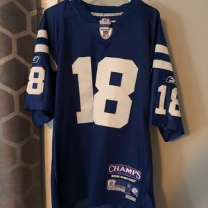 Peyton Manning #18 Indianapolis Colts Jersey